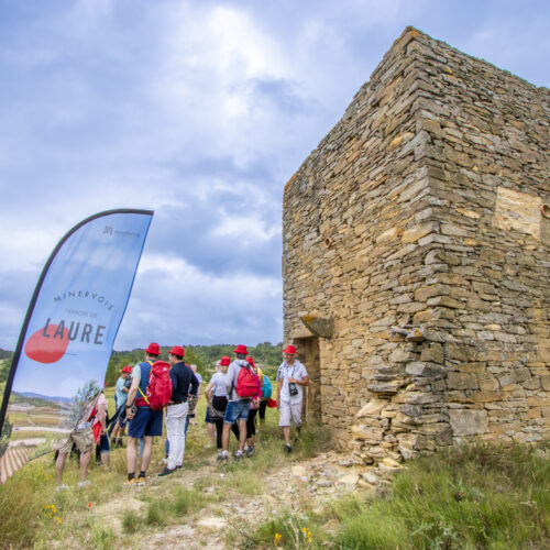 CruMinervois-5931-2©C.Deschamps