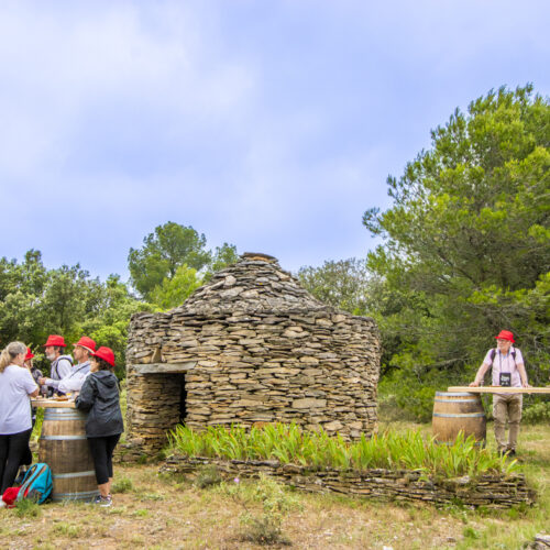 CruMinervois-6058-2©C.Deschamps