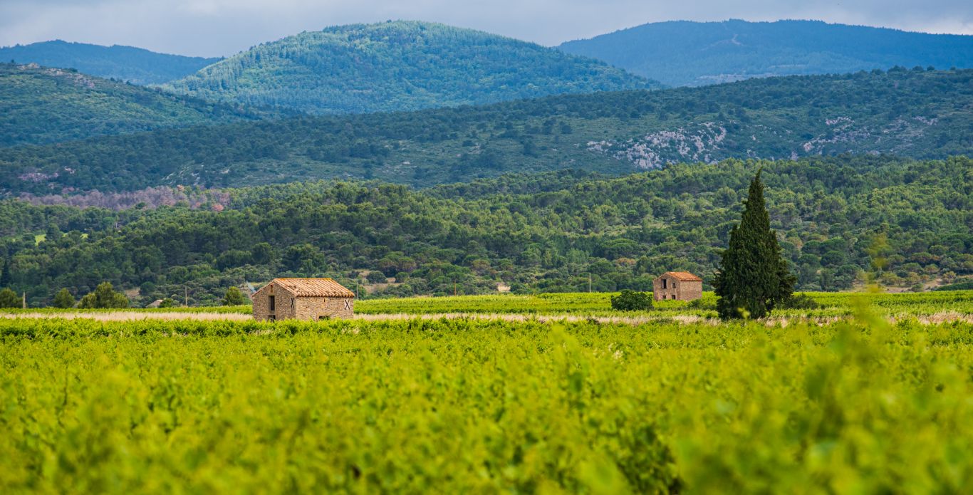 Diapo_terroir Terrasses Argent double2