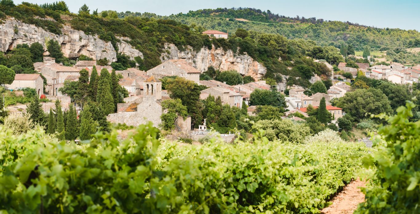 Diapo_terroir la caunette1