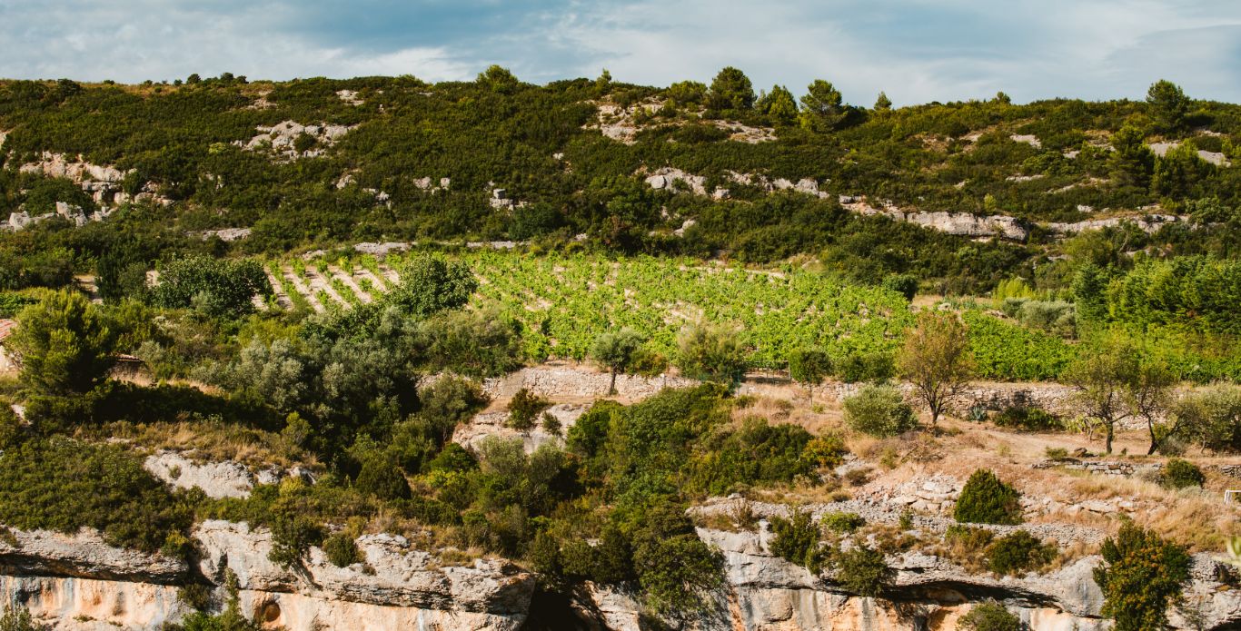 Diapo_terroir la caunette2