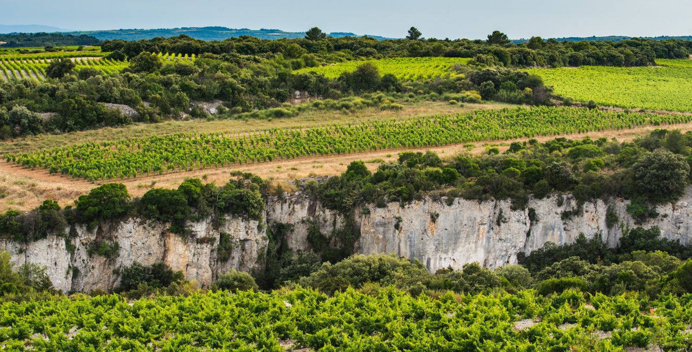 Diapo_terroir la caunette4