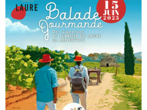 Balade vigneronne 2025