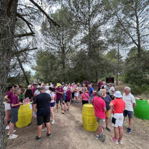 balade vigneronne tourouzelle-6@2x