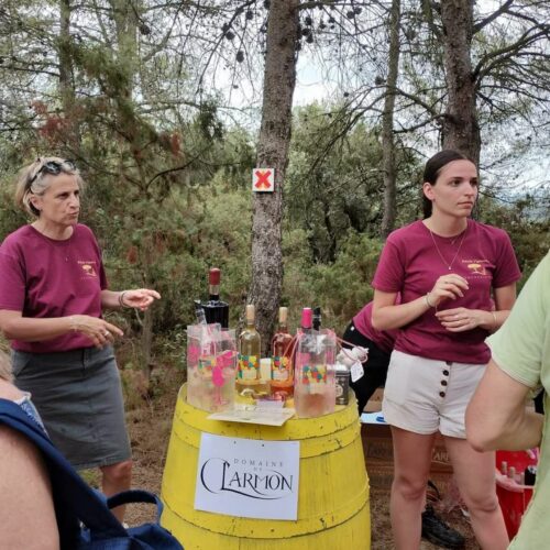 balade vigneronne tourouzelle-8@2x