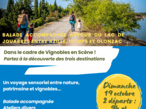 Affiche-rando-AOP-Minervois