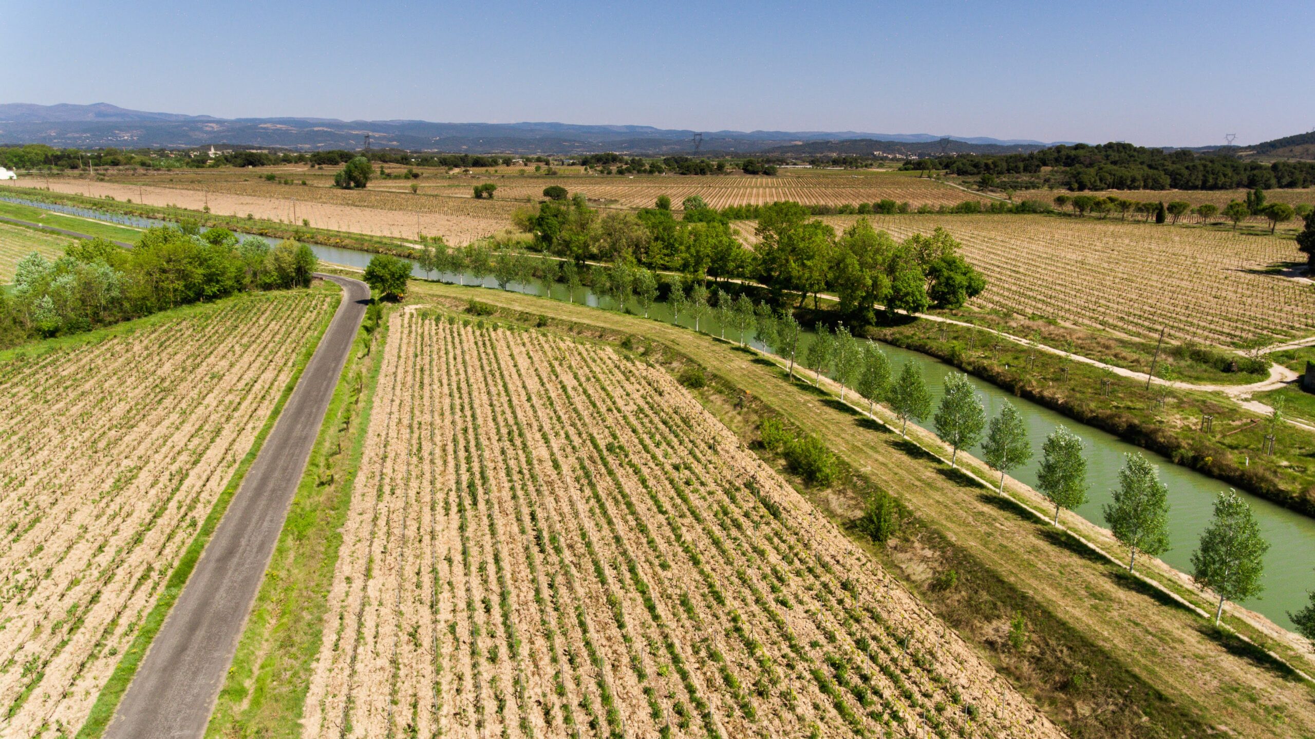 DJI_0890