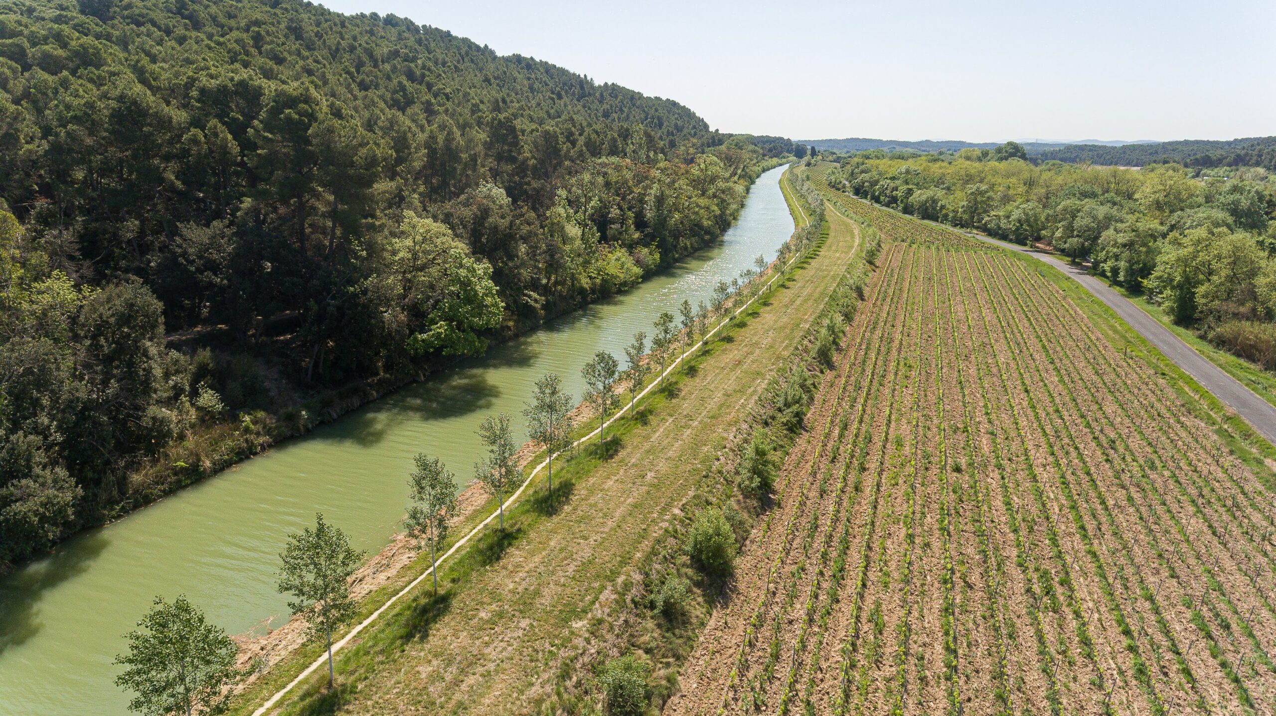 DJI_0896
