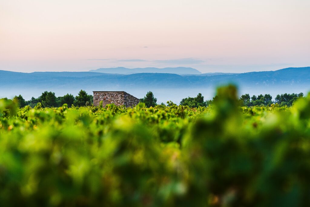 Terroir des Terrasses de l'Argent Double - cabanes de vigne 3