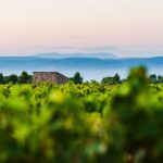 Terroir des Terrasses de l'Argent Double - cabanes de vigne 3