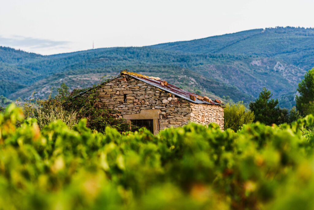 Terroir des Terrasses de l'Argent Double - cabanes de vigne