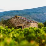 Terroir des Terrasses de l'Argent Double - cabanes de vigne