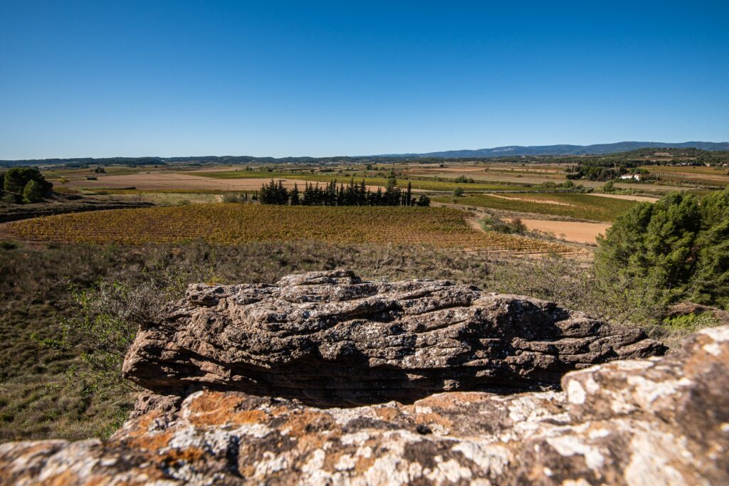 Le grès du Terroir de Laure