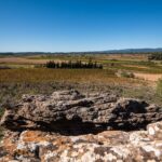 Le grès du Terroir de Laure