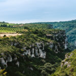 Terroir de La Caunette La cesse