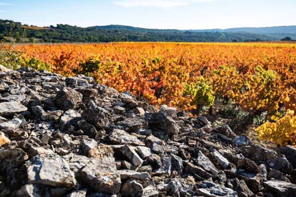 Terroir de Cazelle - les clapas