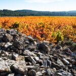 Terroir de Cazelle - les clapas