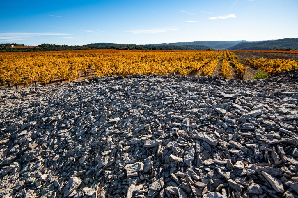 Terroir de Cazelle - les clapas 2