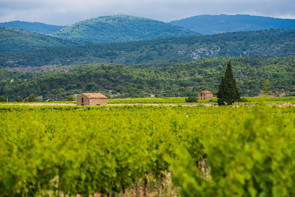 Terroir des Terrasses de l'Argent Double - cabanes de vigne 2