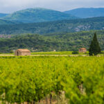Terroir des Terrasses de l'Argent Double - cabanes de vigne 2